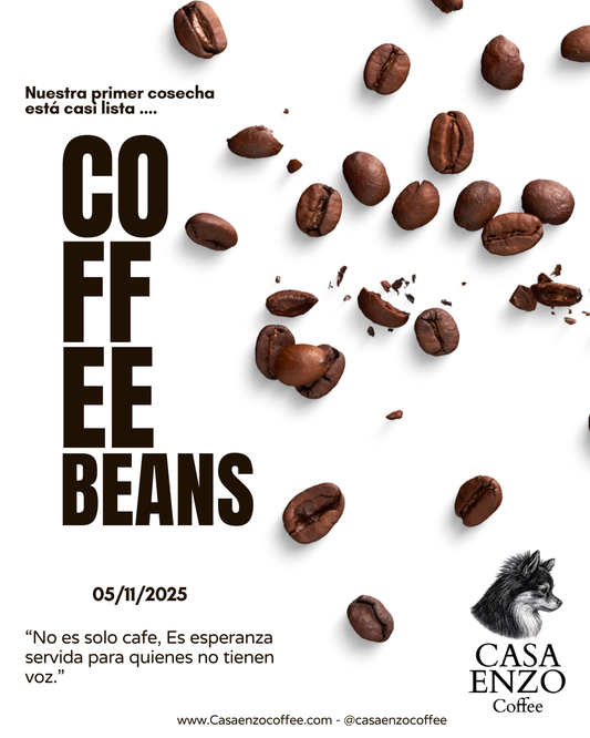 Cafe en grano